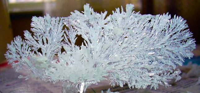Как вырастить соляной кристалл в домашних условиях