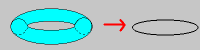 membrane