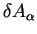 $\delta A_{\alpha}$