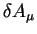 $\delta A_{\mu}$