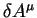 $\delta A^{\mu}$