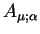 $A_{\mu; \alpha}$