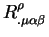 $R^{\rho}_{. \mu \alpha \beta}$