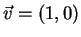$\vec v =(1, 0)$