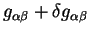$g_{\alpha
\beta} +\delta g_{\alpha \beta}$
