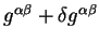 $g^{\alpha
\beta} +\delta g^{\alpha \beta}$