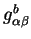 $g^b_{\alpha \beta}$
