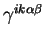 $\gamma^{i k \alpha \beta}$