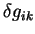 $\delta
g_{ik}$