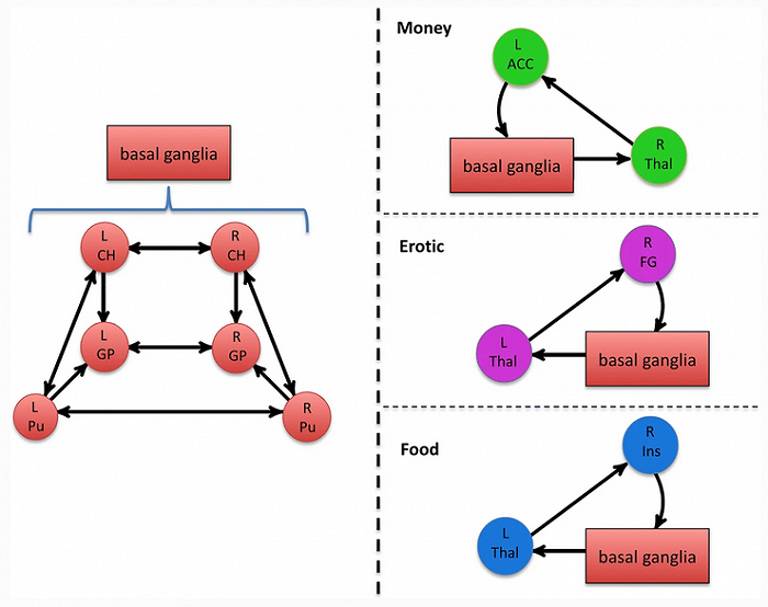 M. Arsalidou et al. / Brain Imaging and Behavior (2020) / Springer Nature