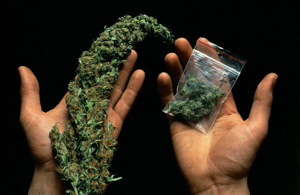 &laquo;Анаша, анаша, до чего ж ты хороша&raquo;. Так? А как дальше, знаете? (Фото Floris Leeuwenberg / The Cover Story / Corbis.)