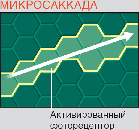 Микросаккада