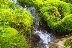 IMG_0569.jpg