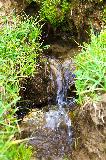 IMG_0574.jpg