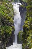 IMG_0915.jpg