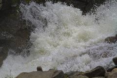 IMG_0929.jpg