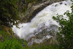 IMG_0951.jpg