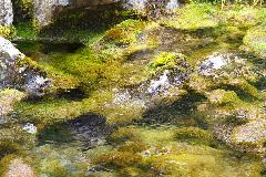 IMG_0997.jpg