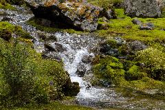 IMG_1019.jpg