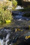 IMG_1778.jpg