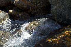 IMG_2028.jpg