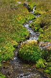 IMG_2062.jpg
