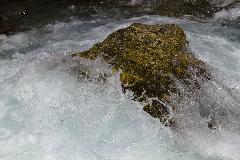 IMG_2124.jpg
