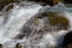 IMG_2173.jpg