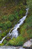 IMG_2186.jpg
