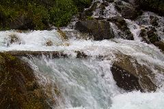 IMG_2435.jpg