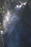 IMG_2549.jpg