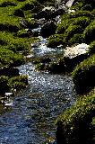 IMG_9992.jpg