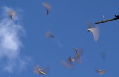 IMG_15429.jpg