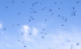 IMG_15479.jpg
