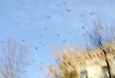 IMG_15483.jpg