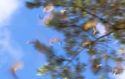 IMG_15511.jpg