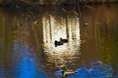 IMG_15663.jpg