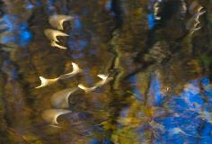 IMG_15826.jpg