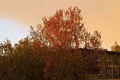 IMG_5231.jpg