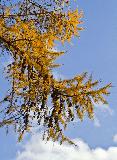 IMG_5368.jpg