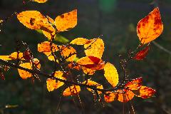 IMG_5538.jpg