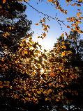IMG_5543.jpg