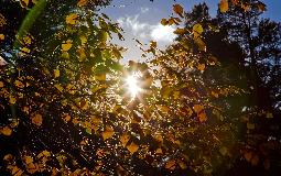 IMG_5573.jpg