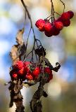 IMG_5593.jpg