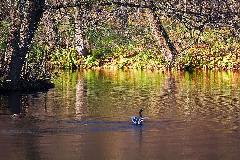 IMG_5861.jpg