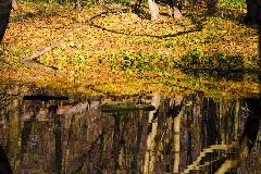 IMG_5865.jpg