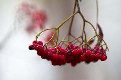 IMG_5868.jpg