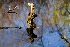 IMG_5869.jpg