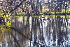 IMG_5877.jpg