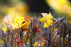 IMG_5894.jpg